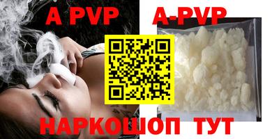 гашик Камышлов