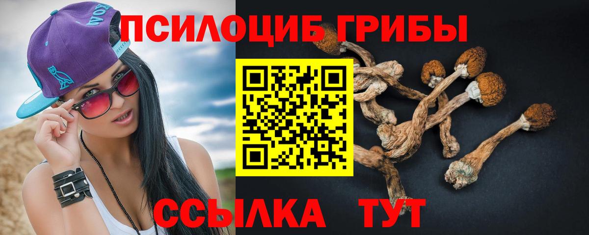 где купить наркоту  Галлюциногенные грибы GOLDEN TEACHER  Вход с VPN  Луховицы 